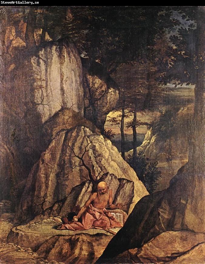 LOTTO, Lorenzo Penitent St Jerome sg